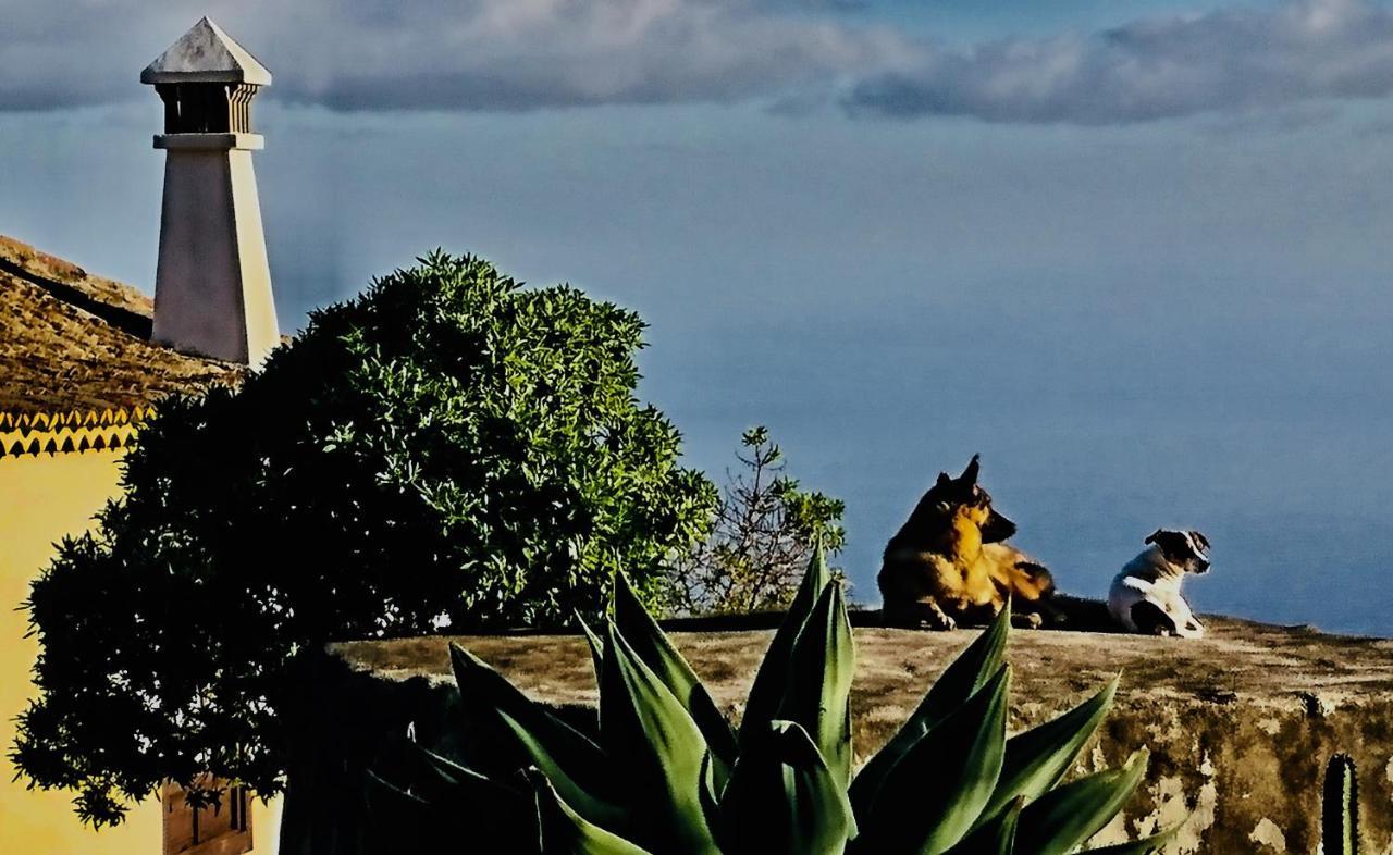 Finca Valentina Tigalate Dış mekan fotoğraf