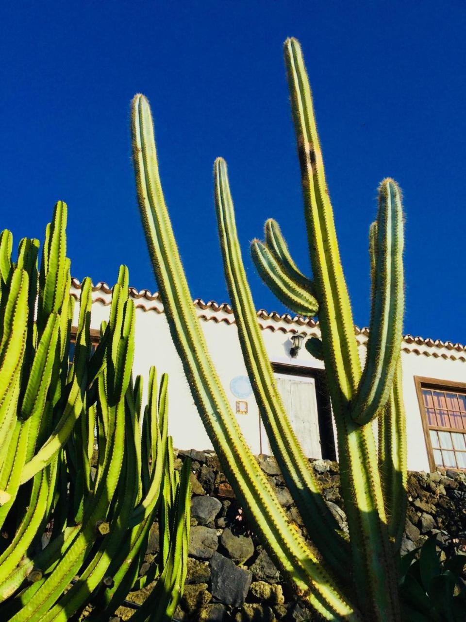 Finca Valentina Tigalate Dış mekan fotoğraf
