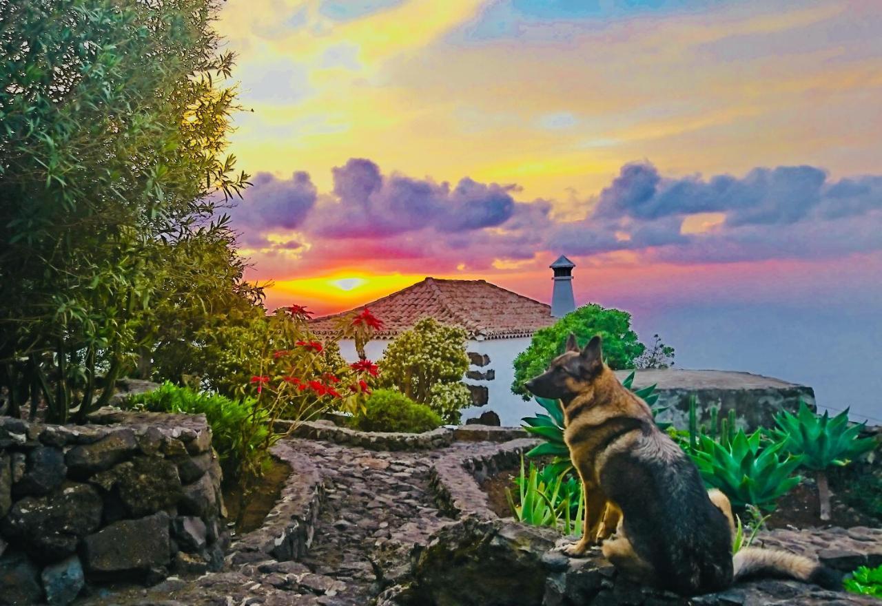 Finca Valentina Tigalate Dış mekan fotoğraf